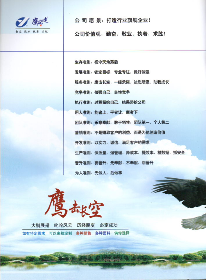 鷹諾達價值觀，公司愿景